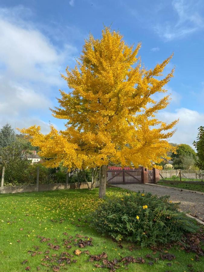 La Pommeraie 76 Saint-Ouen-sous-Bailly Exteriör bild